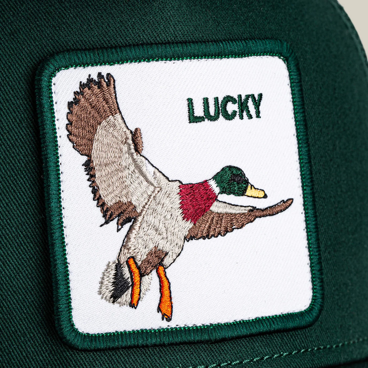Goorin Brothers The Lucky Duck in Guard