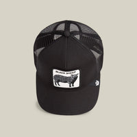 Goorin Brothers The Black Sheep Trucker in Void