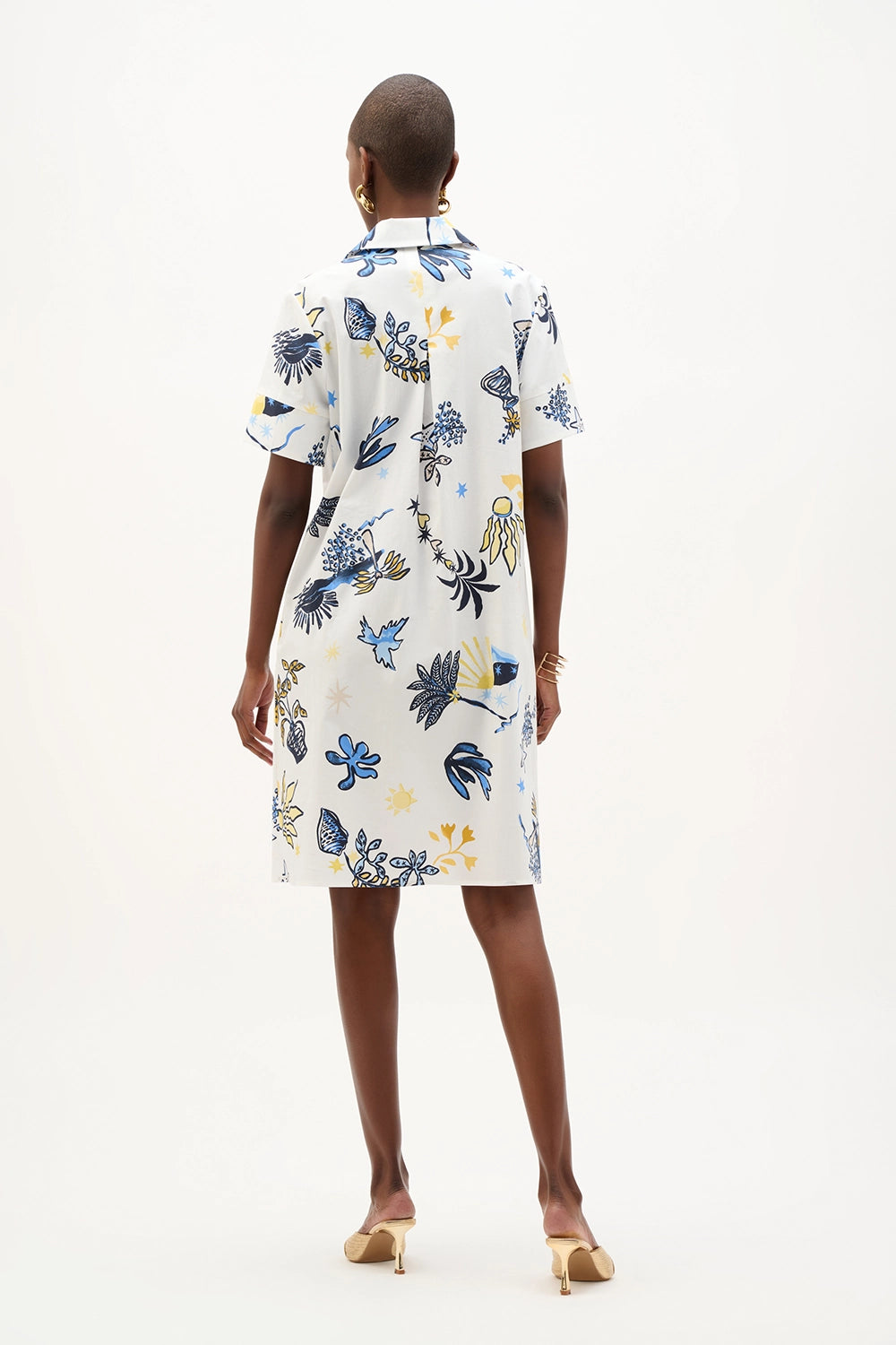 Joseph Ribkoff Stretch Cotton Tropical Print A-Line Dress Jr262139