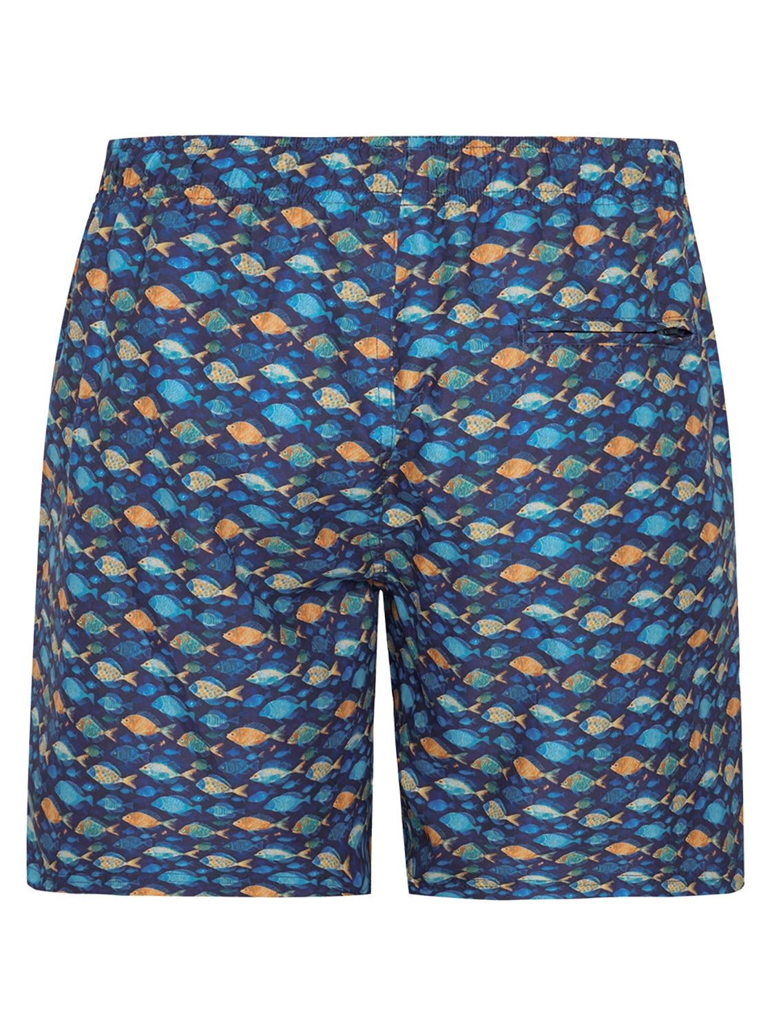 A Fish Named Fred Swimshort Fish 31.256.604