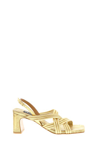Neo Galaxy V/Etoile V in Gold/Gold AG-26037