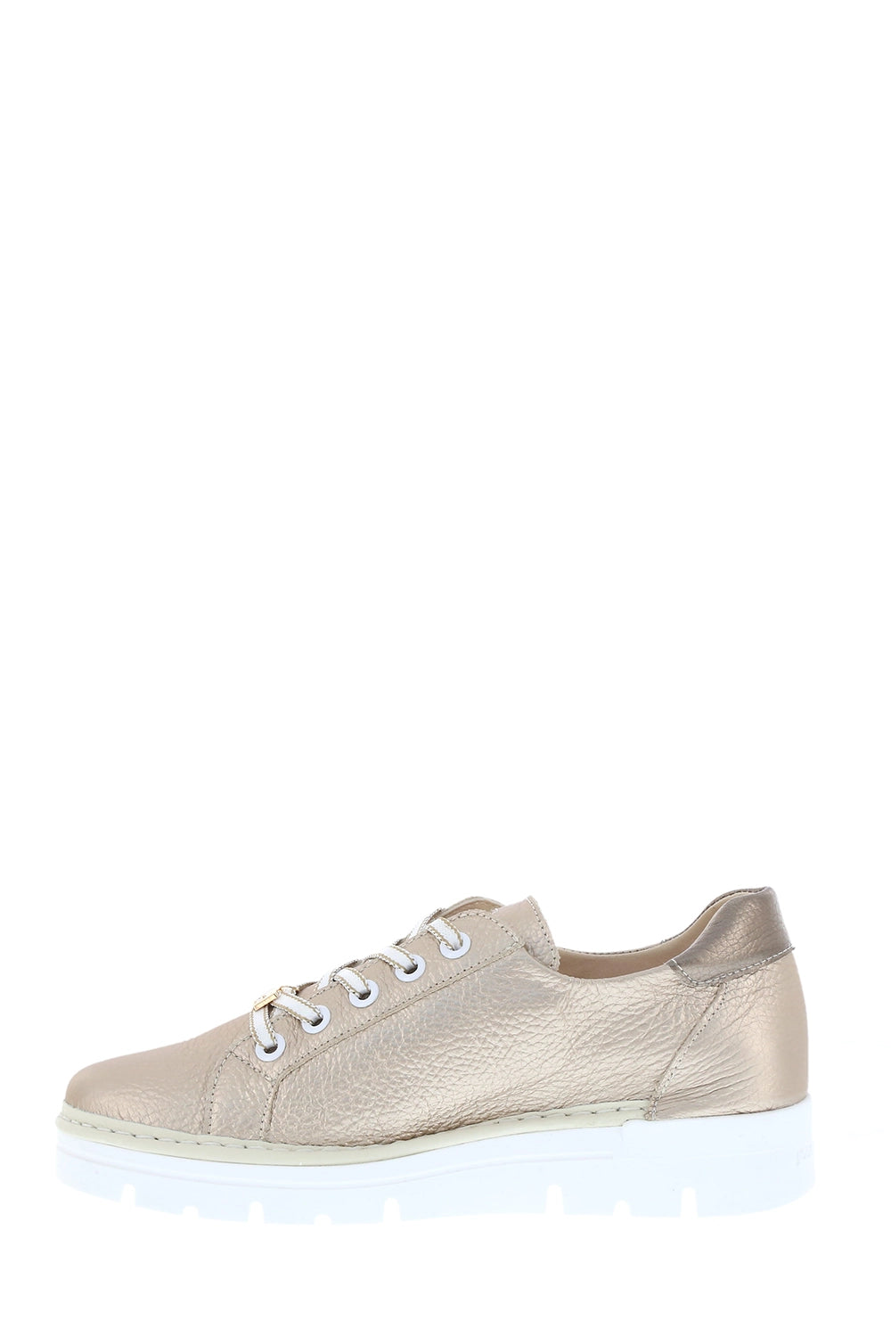 Jose Saenz Cies in (Pale Gold) Platino/Onix/Hielo JS-2001