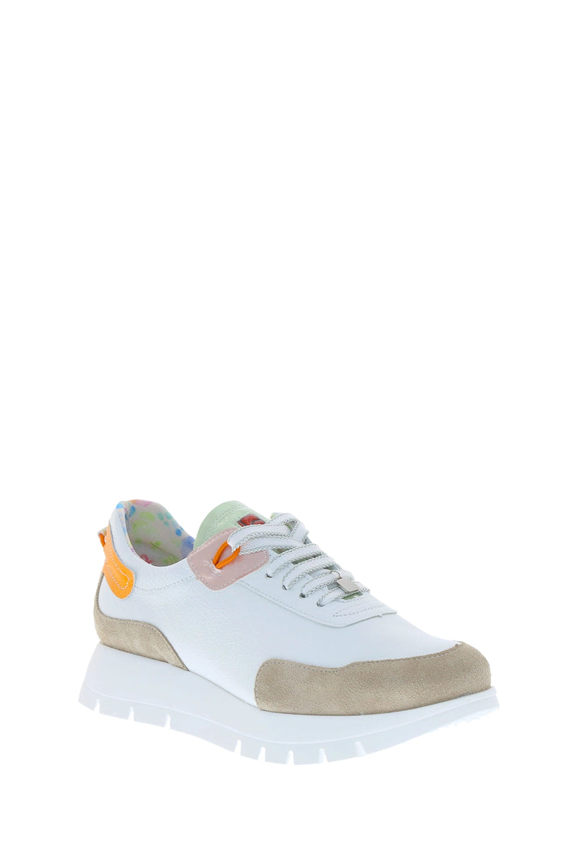 Jose Saenz Sneakers in White/Beige/Multi JS-2287-BG-6