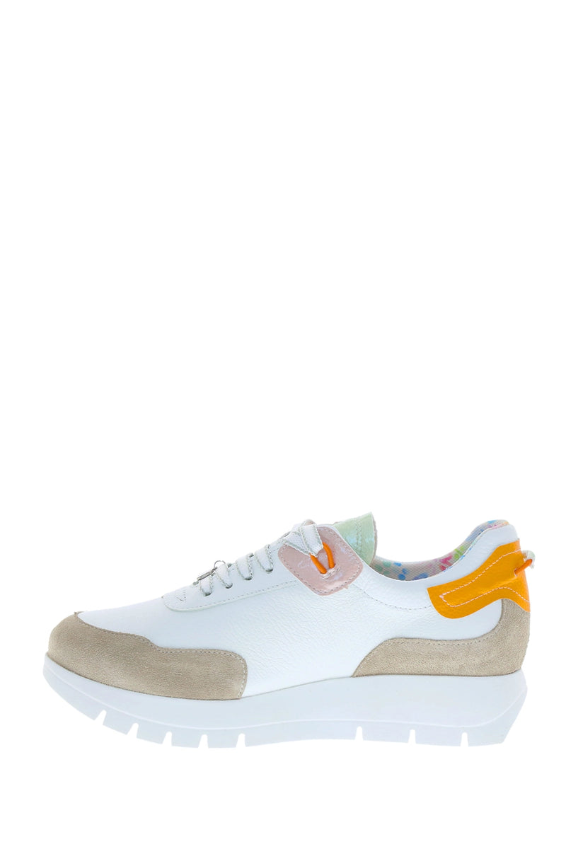 Jose Saenz Sneakers in White/Beige/Multi JS-2287-BG-6