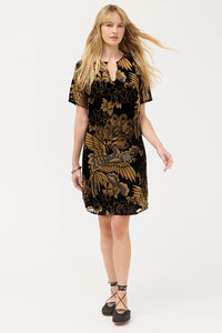 Johnny Was Modet Short Dress - Lyla Burnout C33425-9