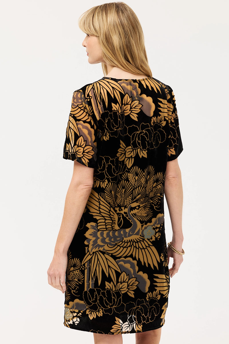 Johnny Was Modet Short Dress - Lyla Burnout C33425-9